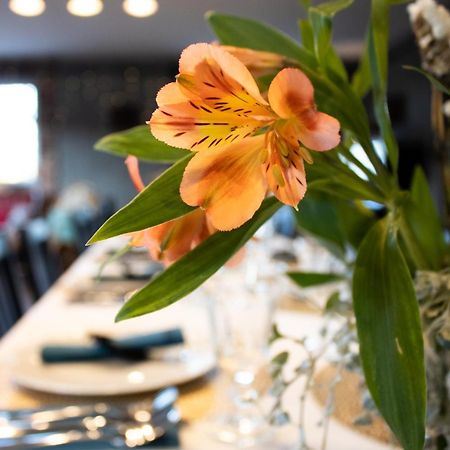 Uroczysko Olesnica Bed & Breakfast Chodzież Eksteriør bilde