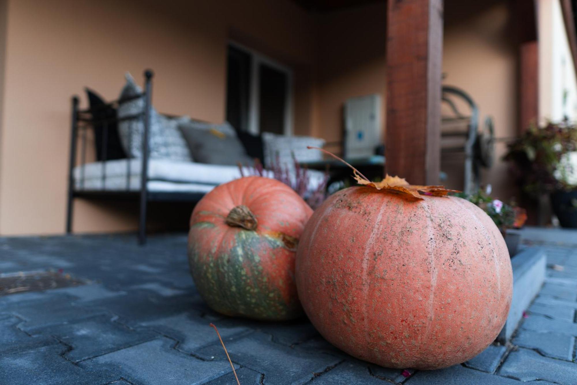 Uroczysko Olesnica Bed & Breakfast Chodzież Eksteriør bilde